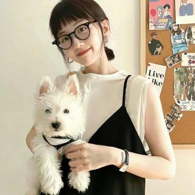 青春猪头少年不会梦到红书包女孩